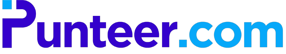 Punteer Logo
